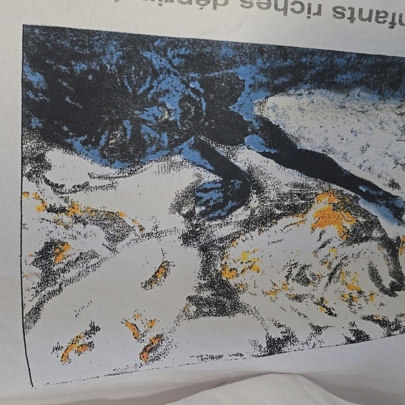 ENFANTS RICHES DÉPRIMÉS-NWOT  don Van Vliet Long Sleeve Shirt Men - Picture 9 of 16